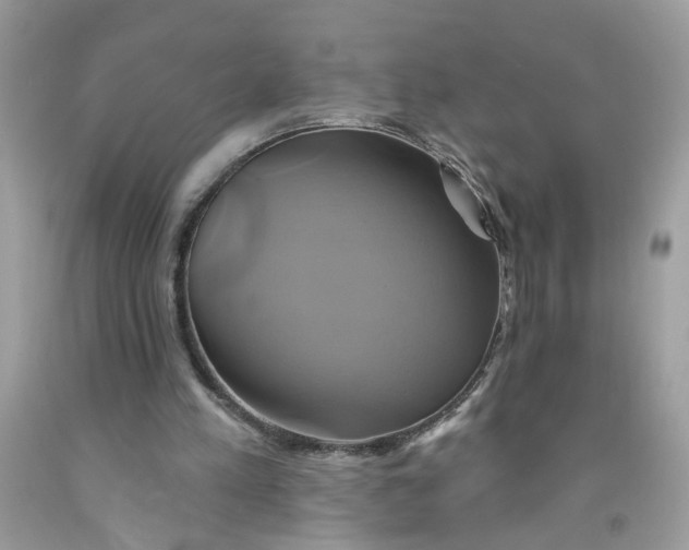 X0000091590197200709101047