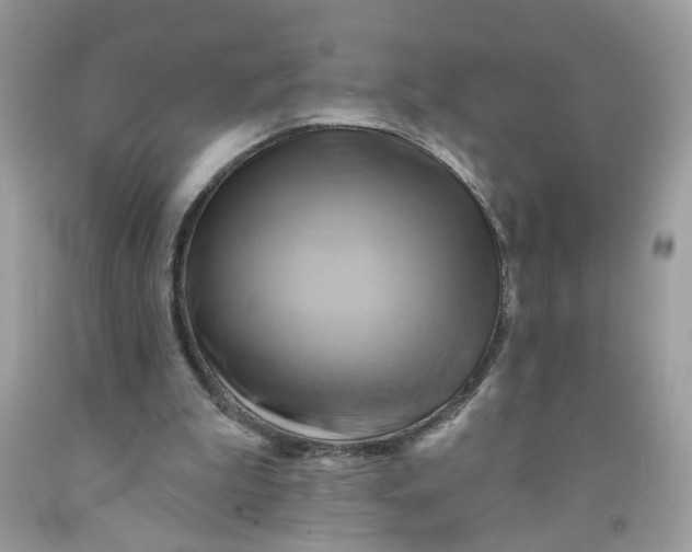 X0000091590199200709101047