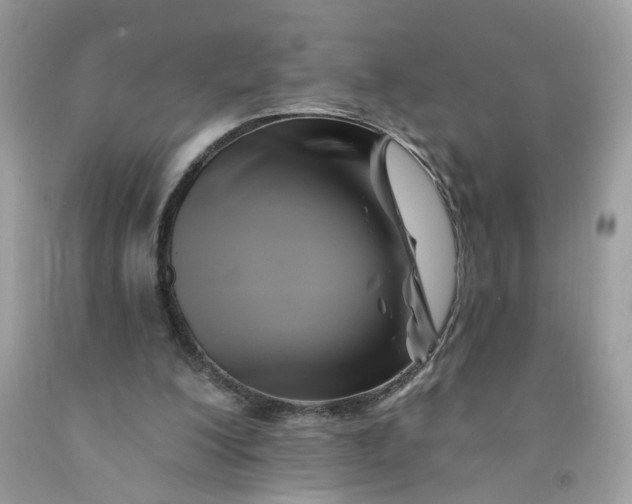 X0000091590200200709101047