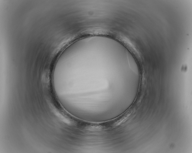 X0000091590202200709101047