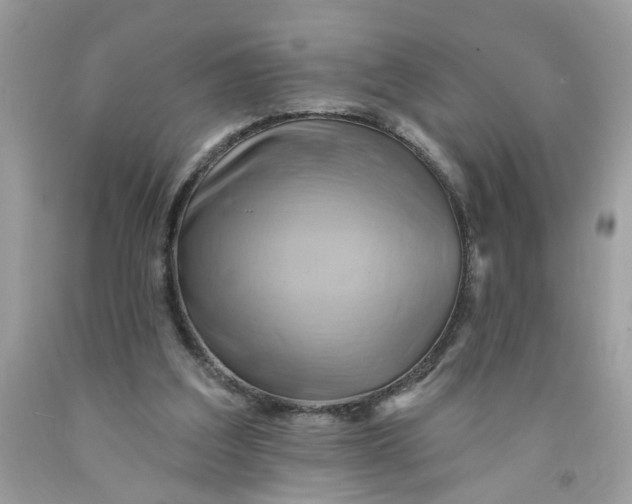 X0000091590203200709101047