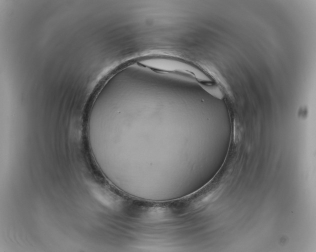 X0000091590204200709101047