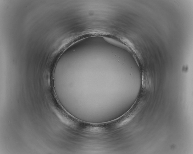 X0000091590205200709101047