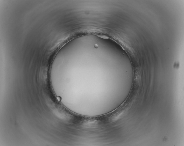 X0000091590206200709101047