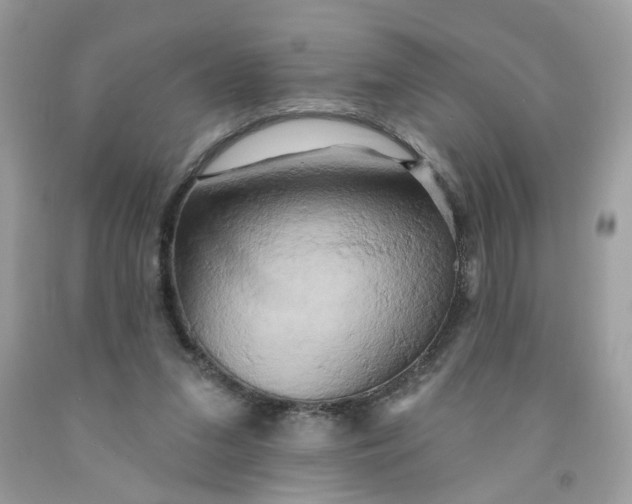 X0000091590207200709101047