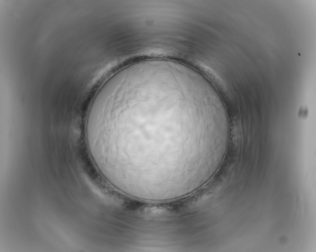 X0000091590208200709101047