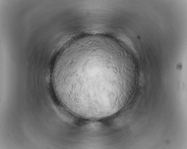 X0000091590210200709101047