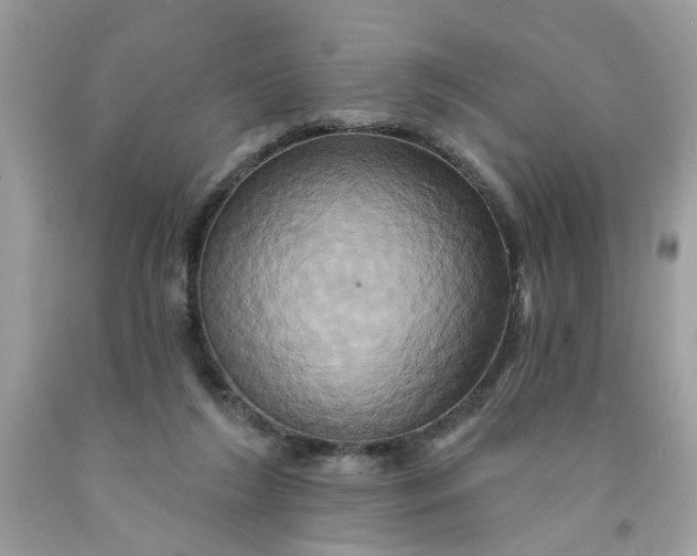 X0000091590212200709101047