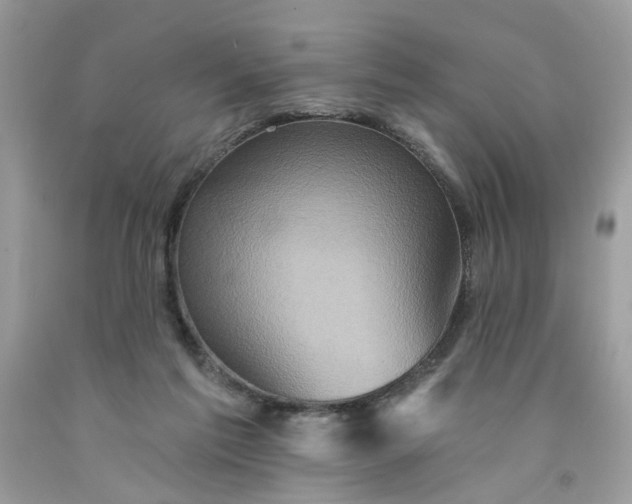 X0000091590213200709101047