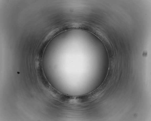 X0000091590216200709101047