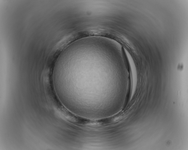 X0000091590217200709101047