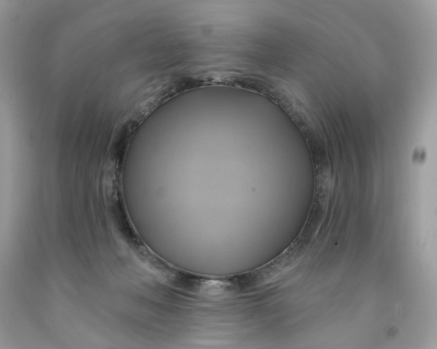 X0000091590222200709101047