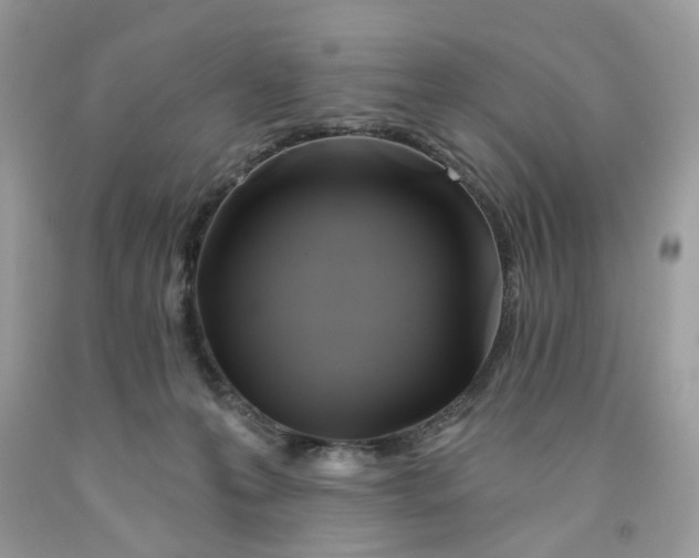 X0000091590223200709101047