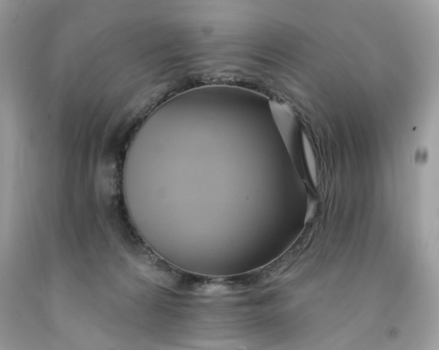 X0000091590224200709101047