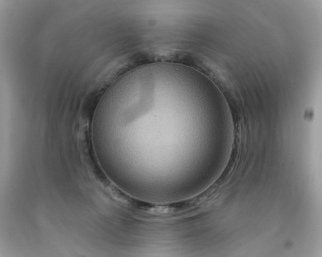 X0000091590225200709101047