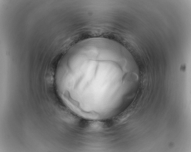 X0000091590226200709101047