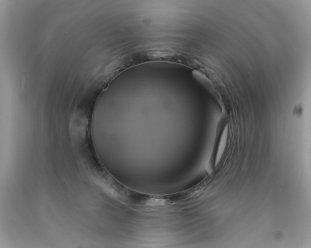 X0000091590227200709101047