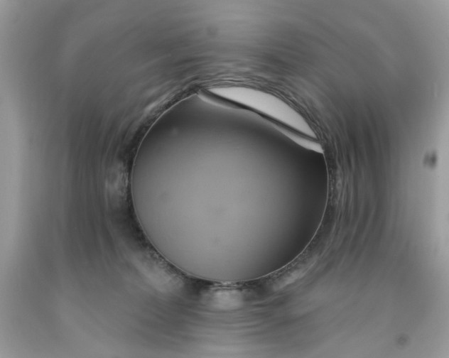 X0000091590228200709101047