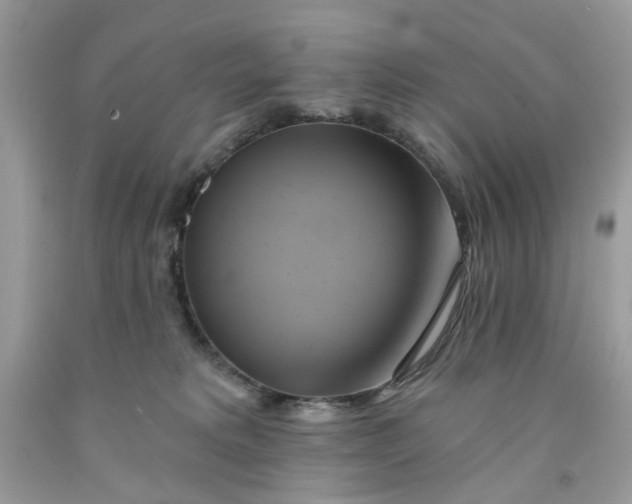 X0000091590229200709101047