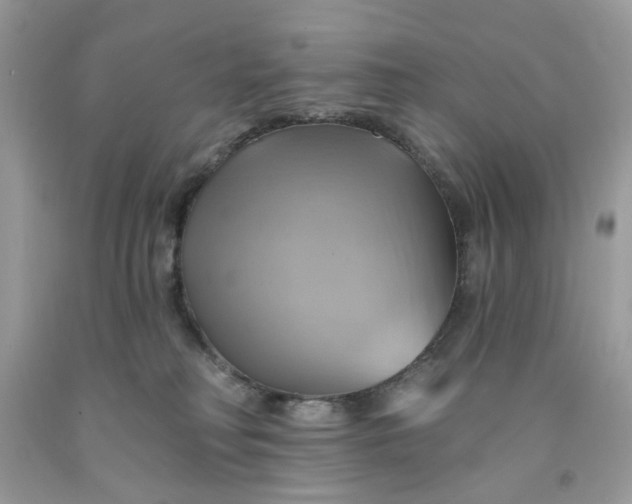 X0000091590230200709101047