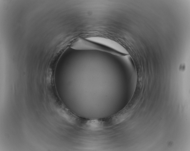 X0000091590231200709101047