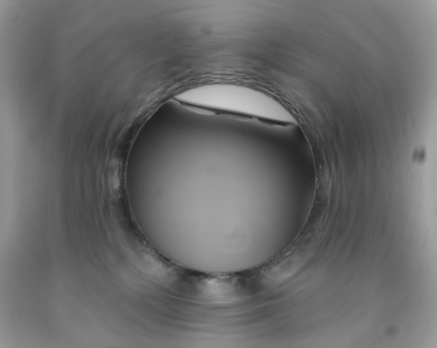 X0000091590232200709101047