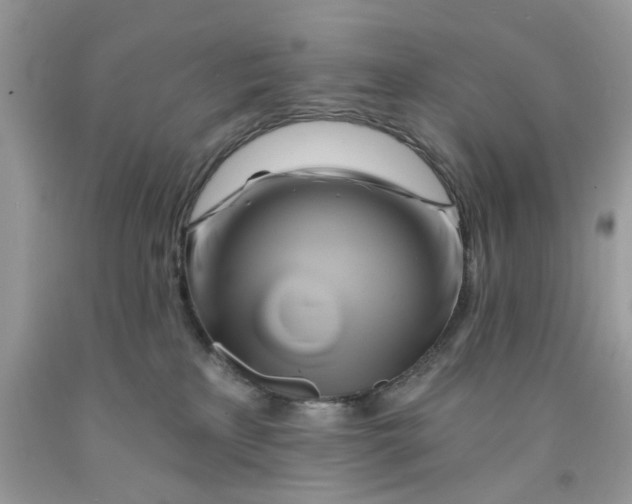 X0000091590233200709101047