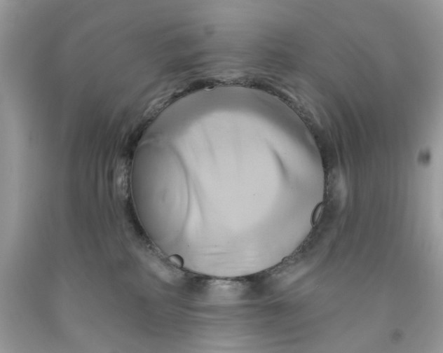 X0000091590234200709101047