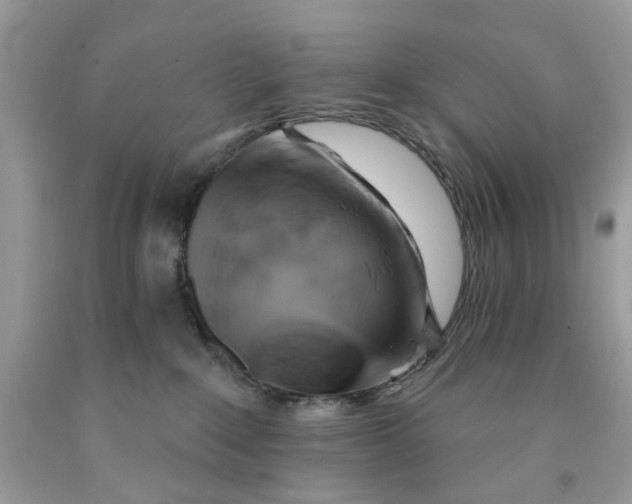 X0000091590235200709101047