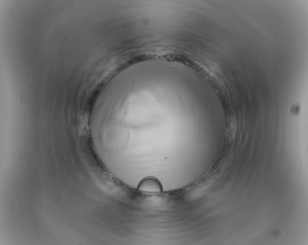 X0000091590236200709101047