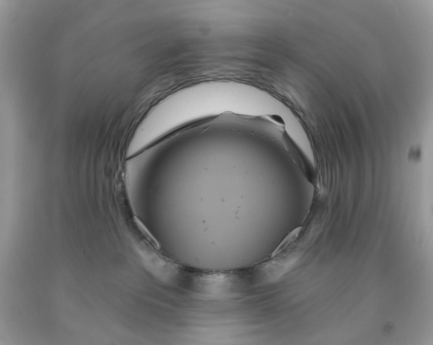 X0000091590237200709101047