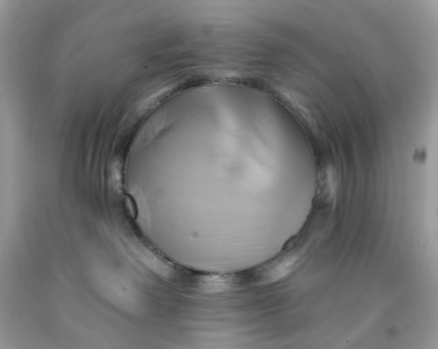 X0000091590238200709101047