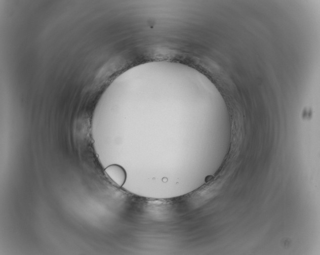 X0000091590240200709101047