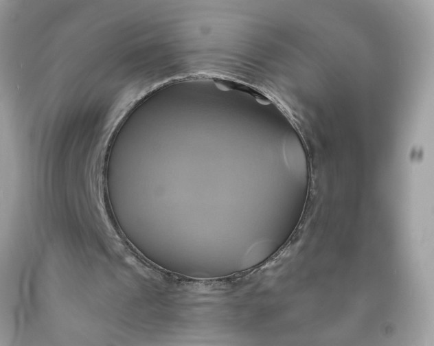 X0000091590241200709101046