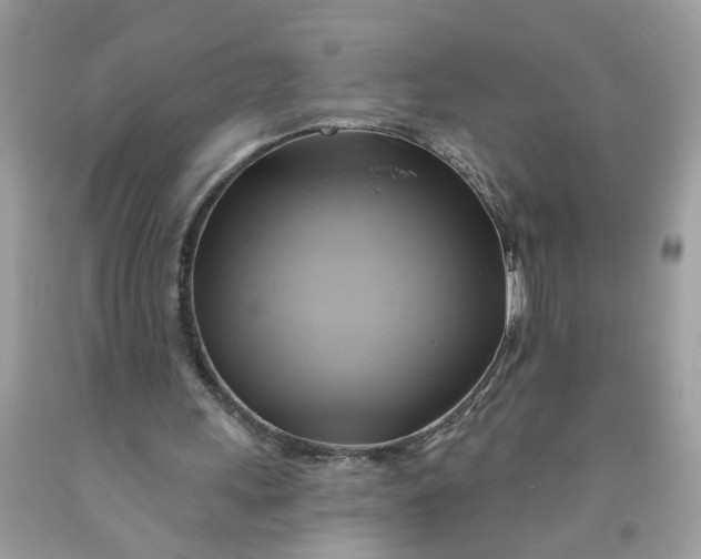 X0000091590243200709101046