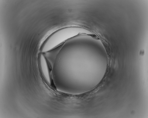 X0000091590244200709101046