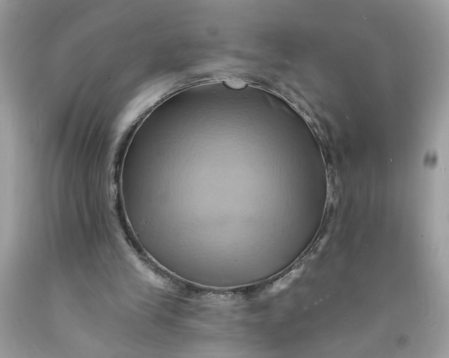 X0000091590245200709101046