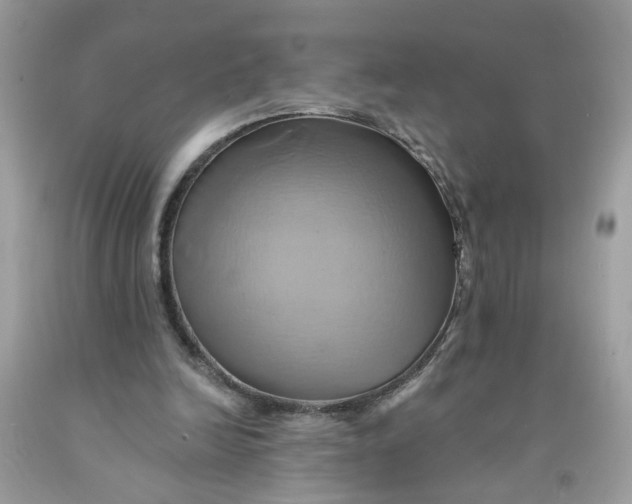 X0000091590246200709101046