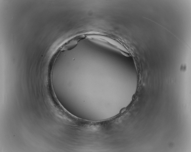 X0000091590247200709101046