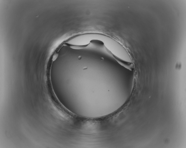 X0000091590248200709101046