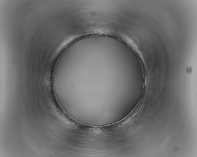 X0000091590249200709101046