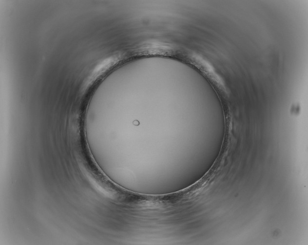 X0000091590250200709101046