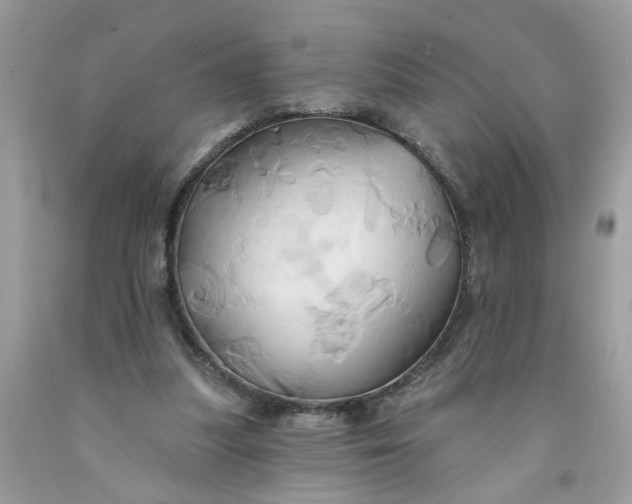 X0000091590251200709101046