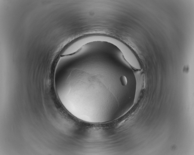 X0000091590252200709101046