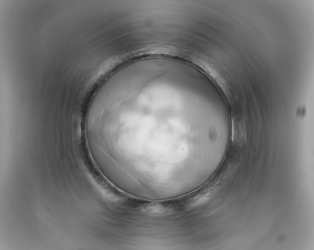 X0000091590253200709101046