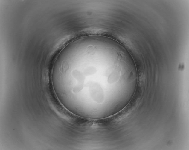 X0000091590254200709101046