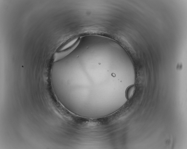 X0000091590255200709101046