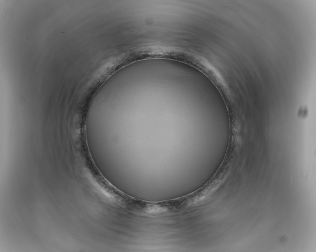 X0000091590257200709101046