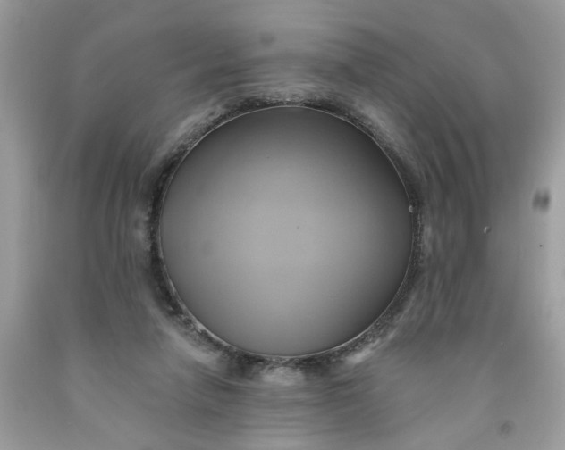 X0000091590258200709101046