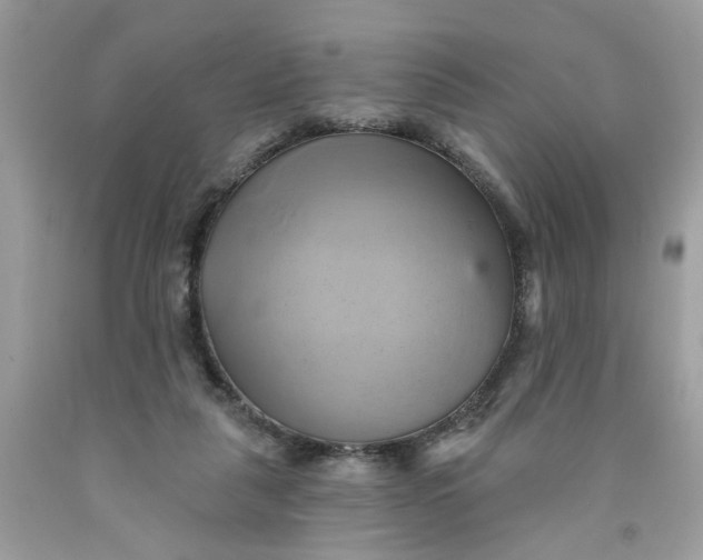 X0000091590259200709101046